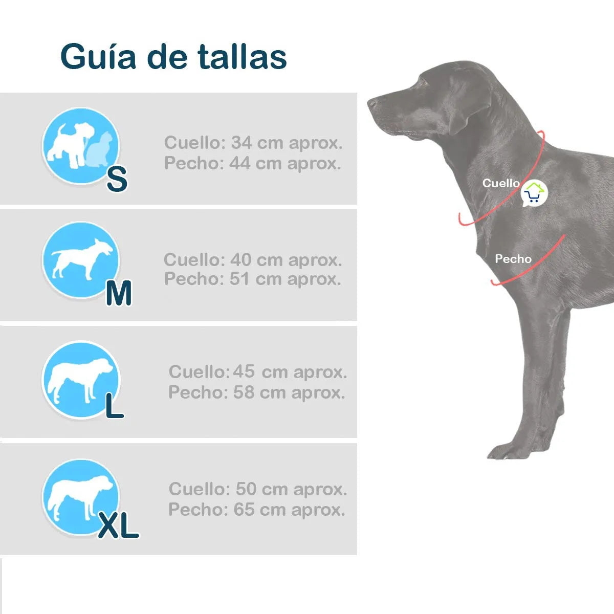 Disfraz Mascotas Peter Pan Halloween (Gato y perro)