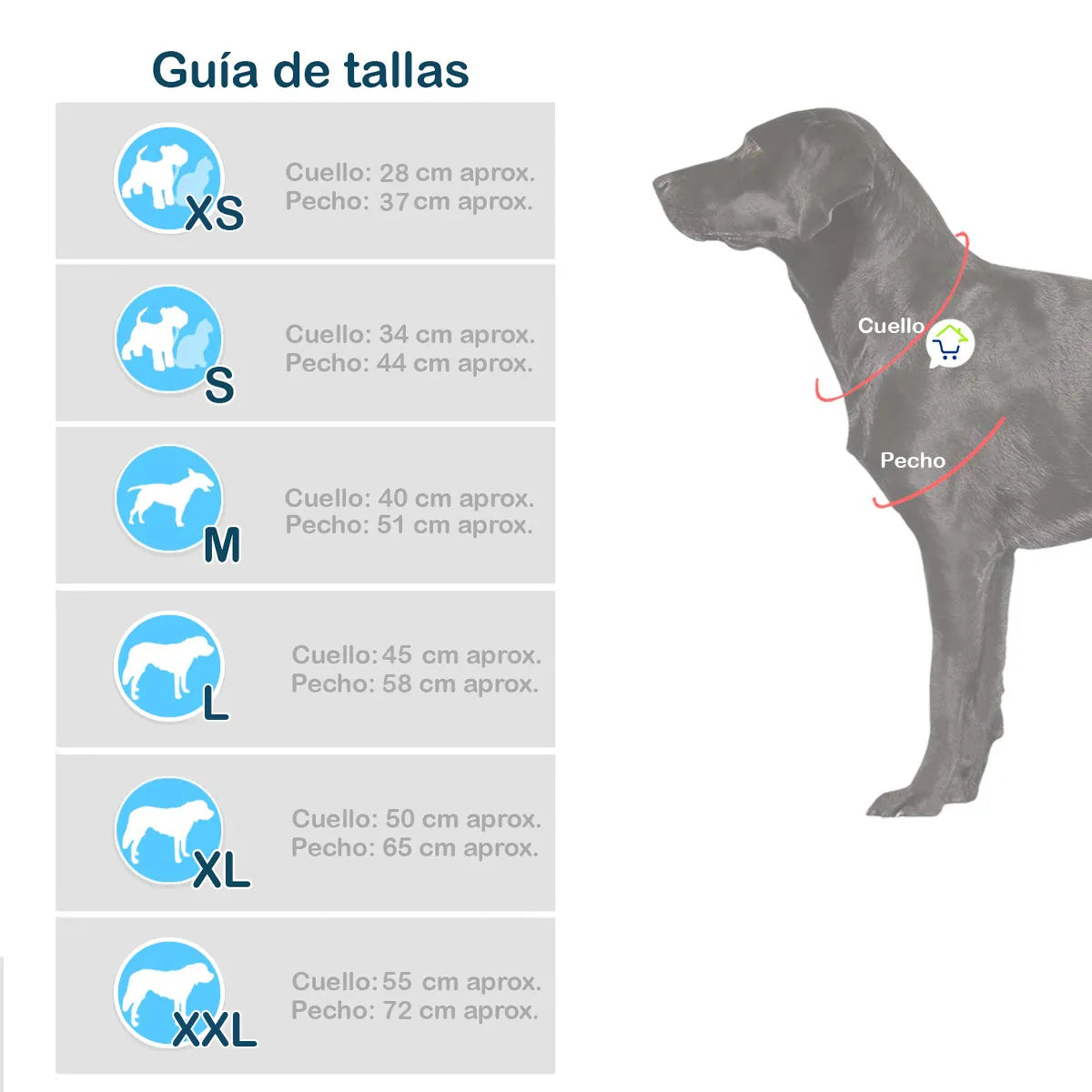 Disfraz Mascotas Ansiedad Halloween (Gato y perro)