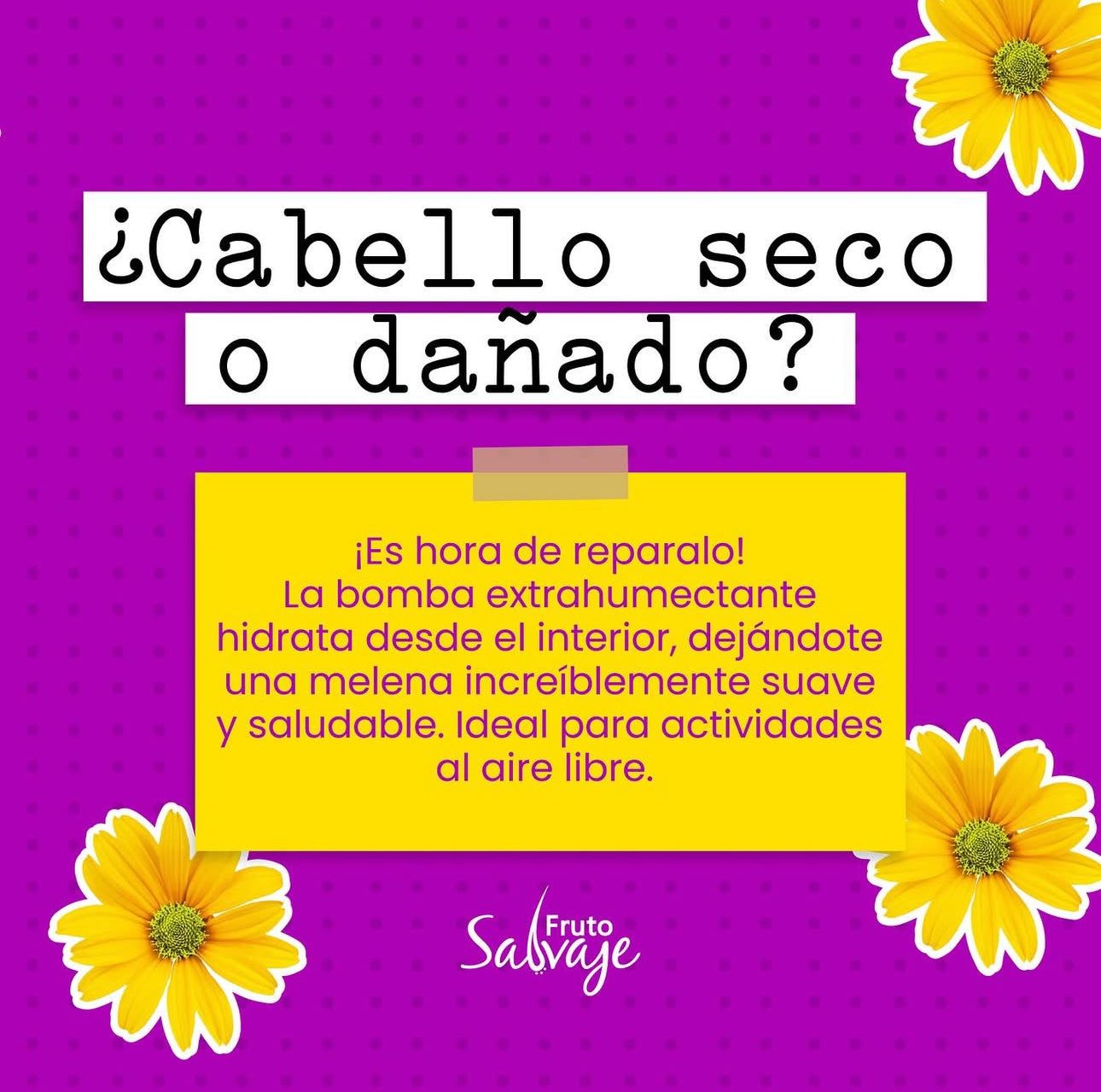 Bomba Extrahumectante Fruto Salvaje , Para un cabello de película! 💁♀️