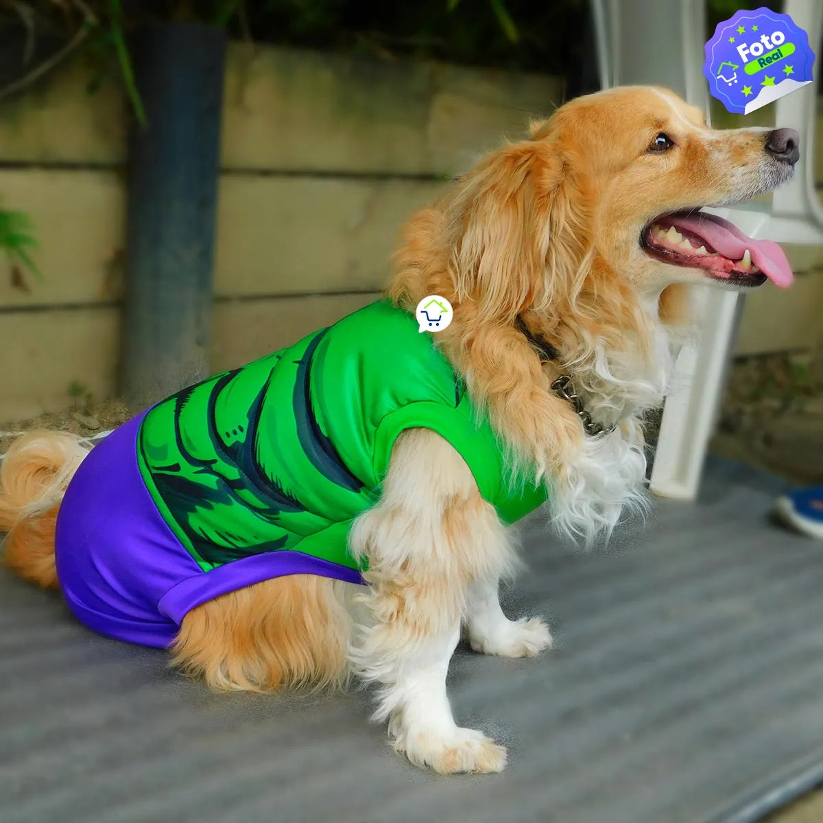 Disfraz De Hulk Para Mascotas - Halloween (ORIGINAL)