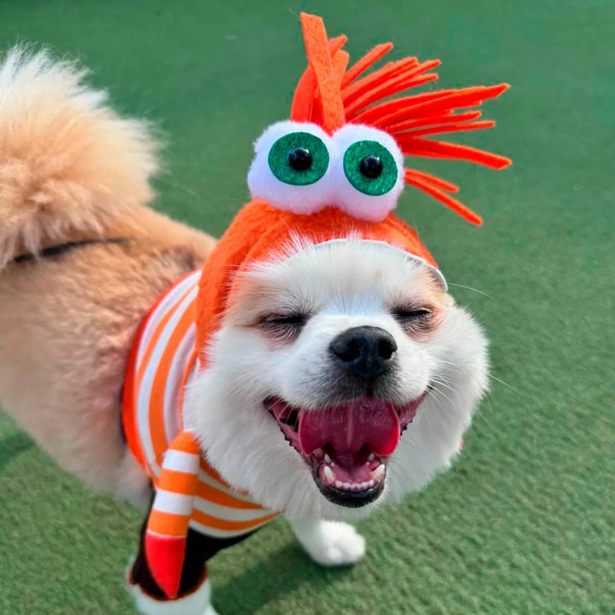Disfraz Mascotas Ansiedad Halloween (Gato y perro)