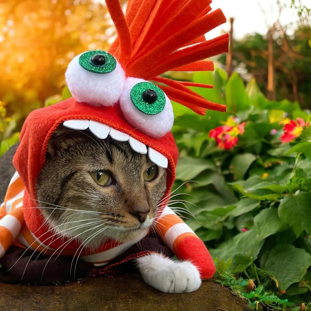 Disfraz Mascotas Ansiedad Halloween (Gato y perro)