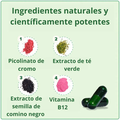 Moto - Apoyo natural al metabolismo (60 cápsulas veganas)