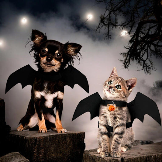 Disfraz Macotas Murciélago Halloween (Gato y perro)