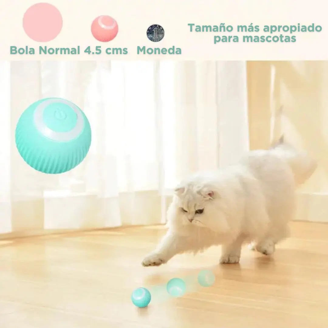 Smart Ball Recargable para Gato