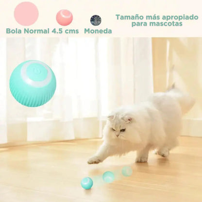 Smart Ball Recargable para Gato