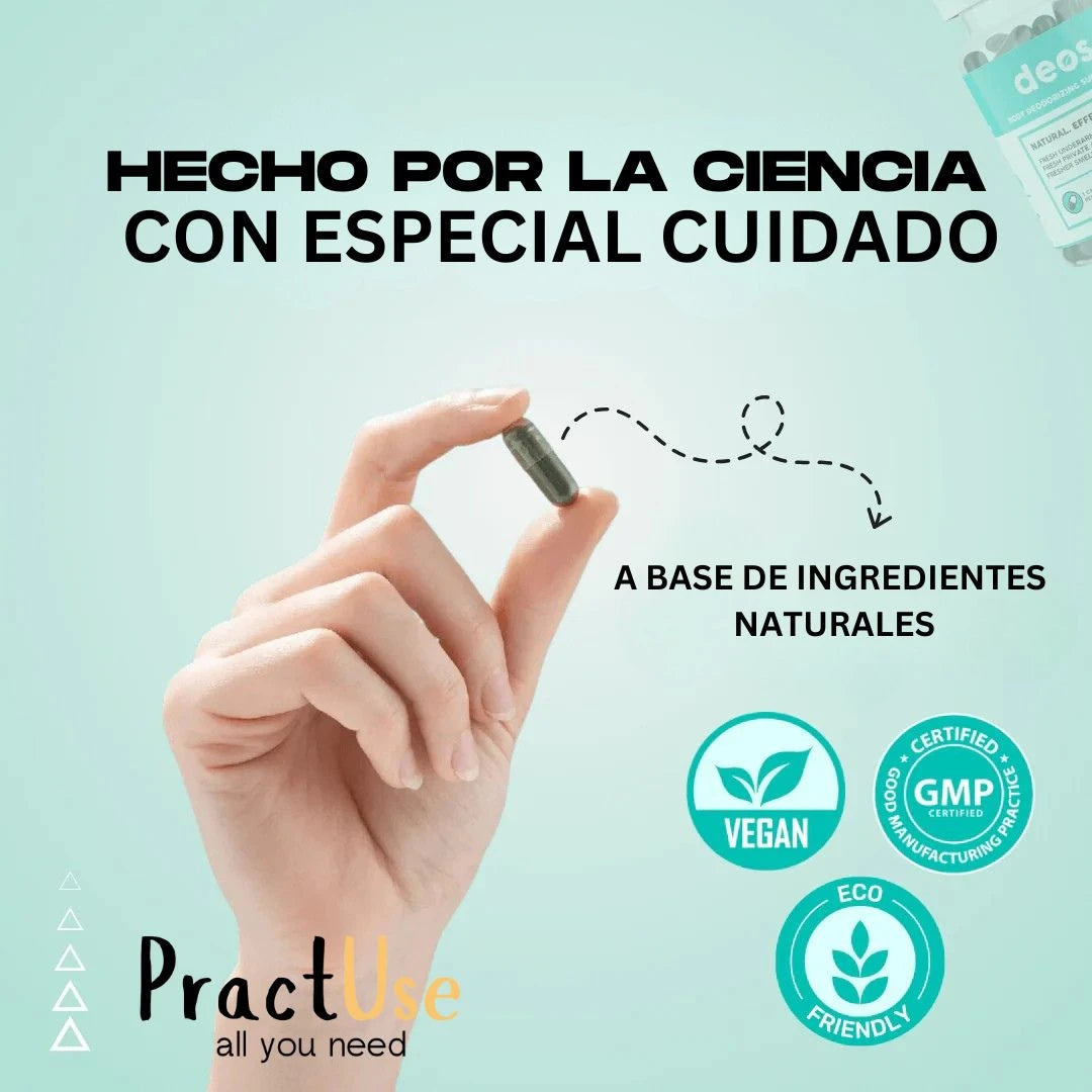 Encabezado