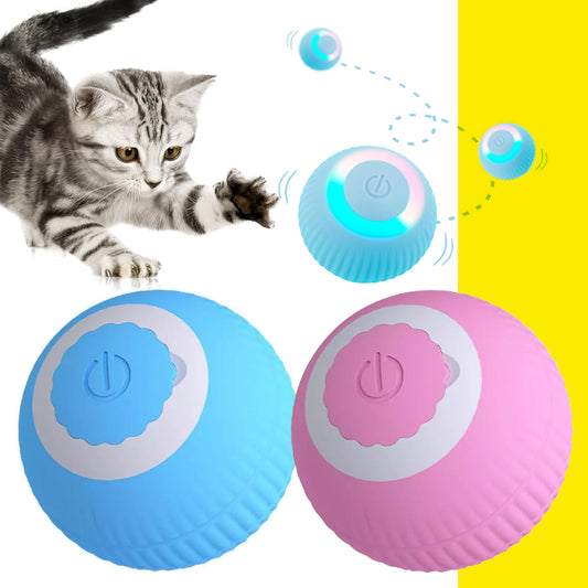 Smart Ball Recargable para Gato